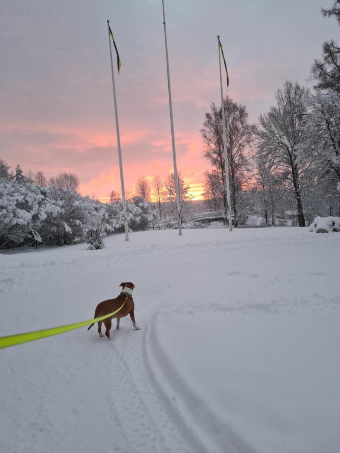 Skogsbrynet B&B, Bredsjoe Nya Herrgard Hällefors Exterior foto